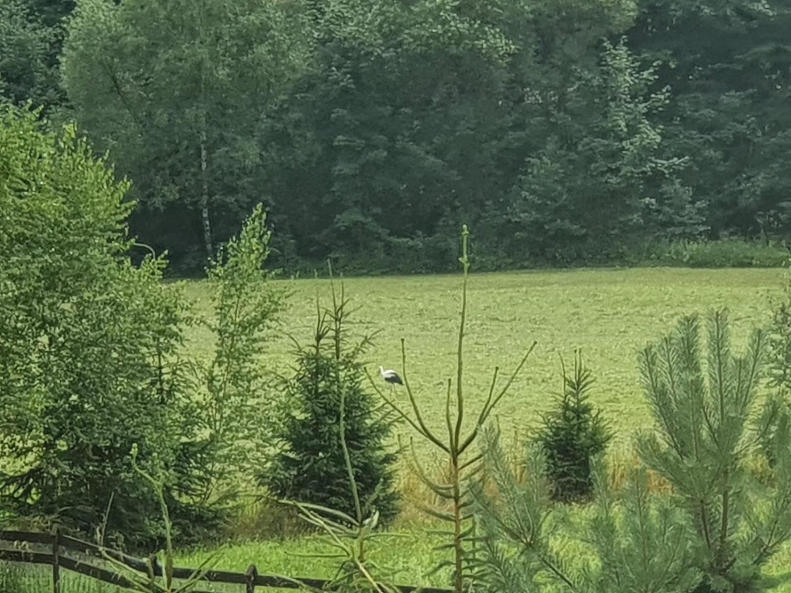 Wellness-Beskydy Villa Prostřední Bečva Buitenkant foto