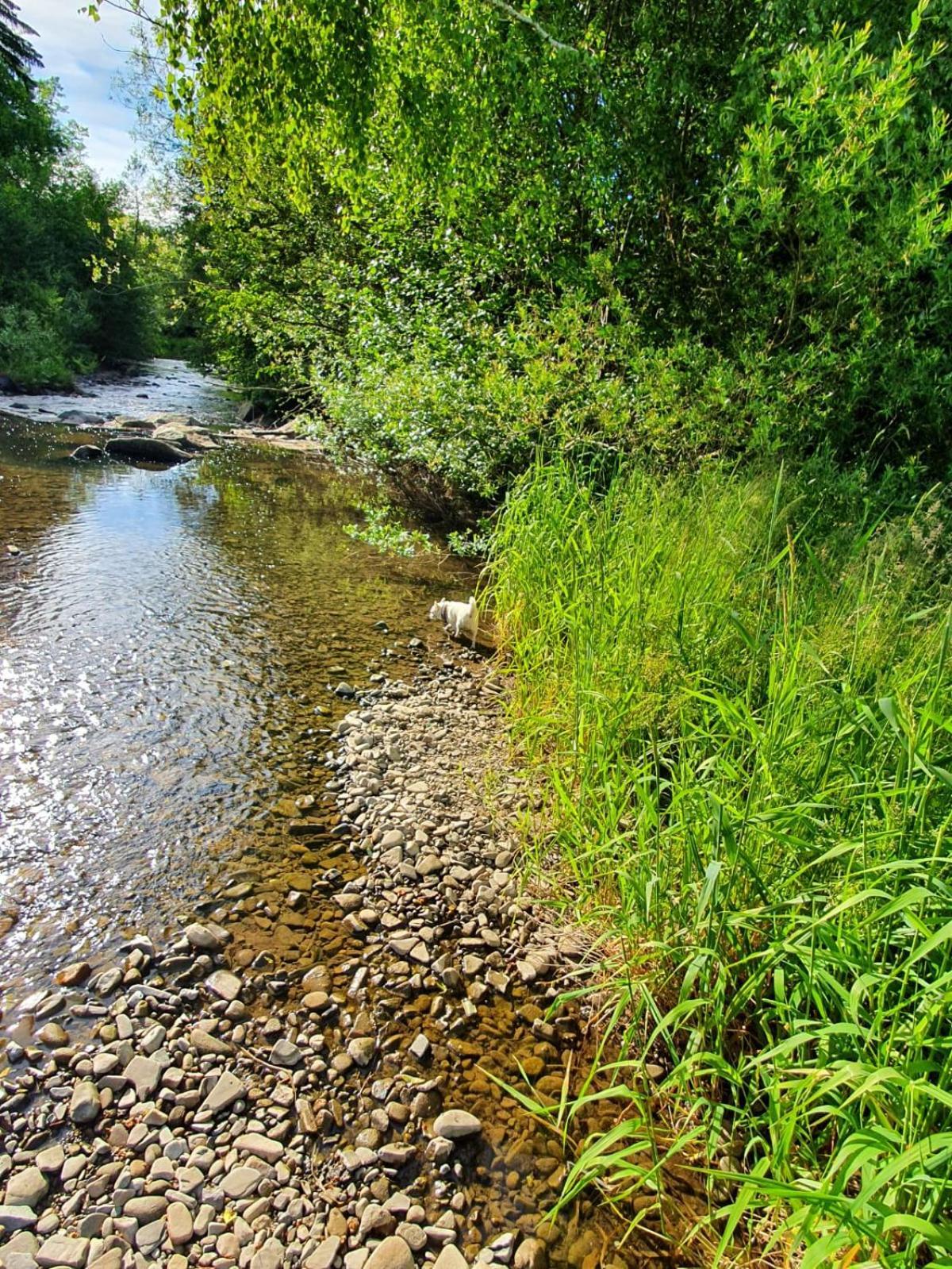 Wellness-Beskydy Villa Prostřední Bečva Buitenkant foto