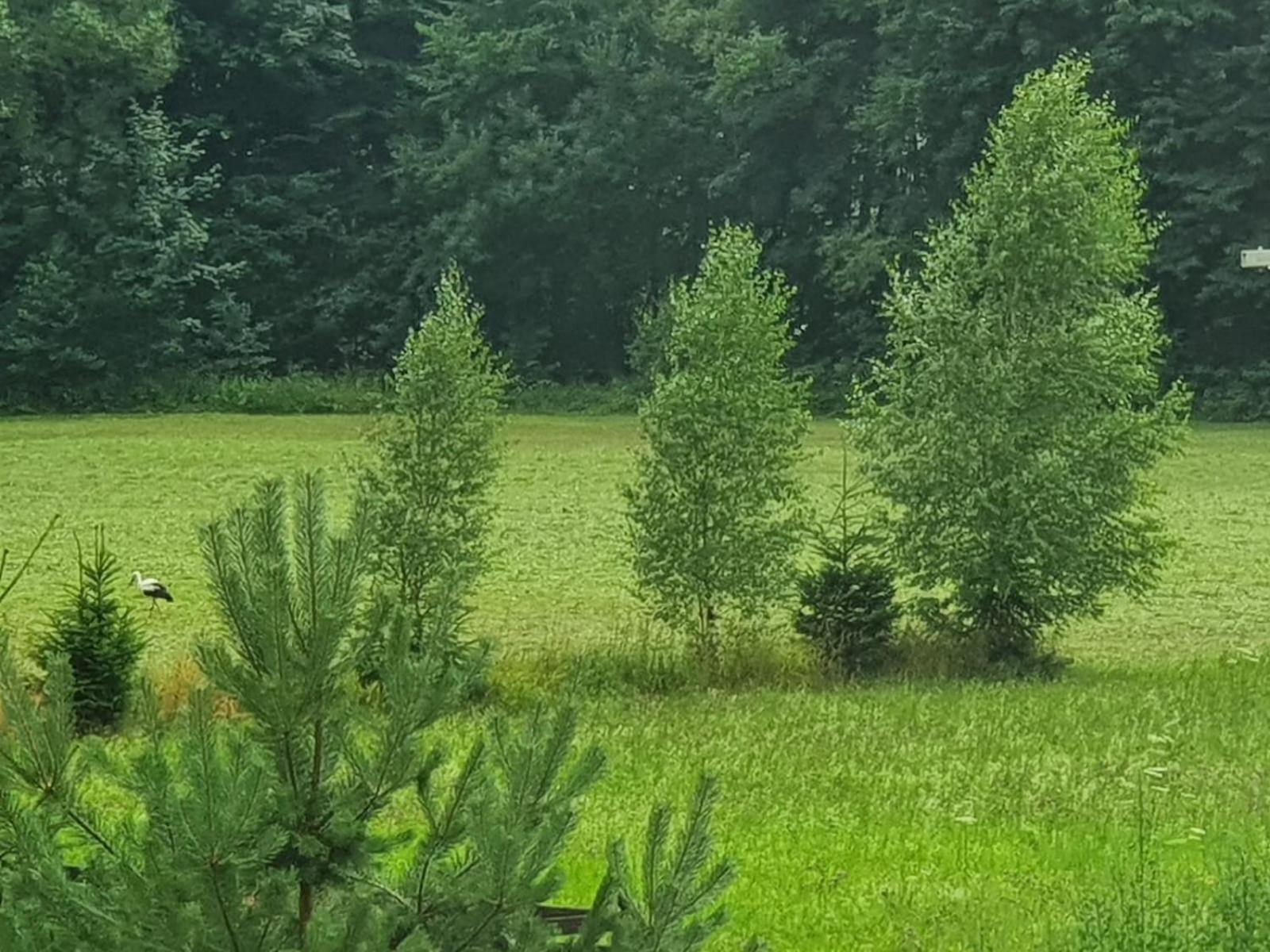 Wellness-Beskydy Villa Prostřední Bečva Buitenkant foto